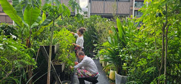 Why Le Petit Marche Is Different | Private Chef Singapore