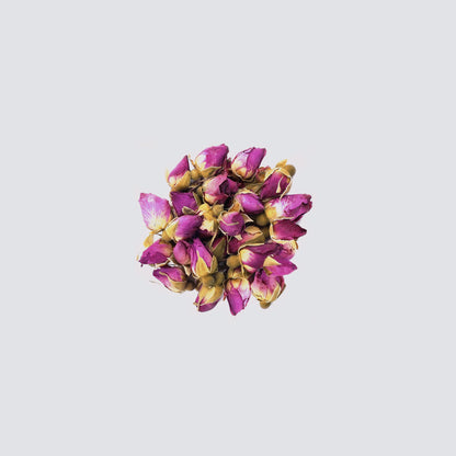 Rose Flowers